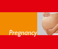 NUK Little Book „Pregnancy“